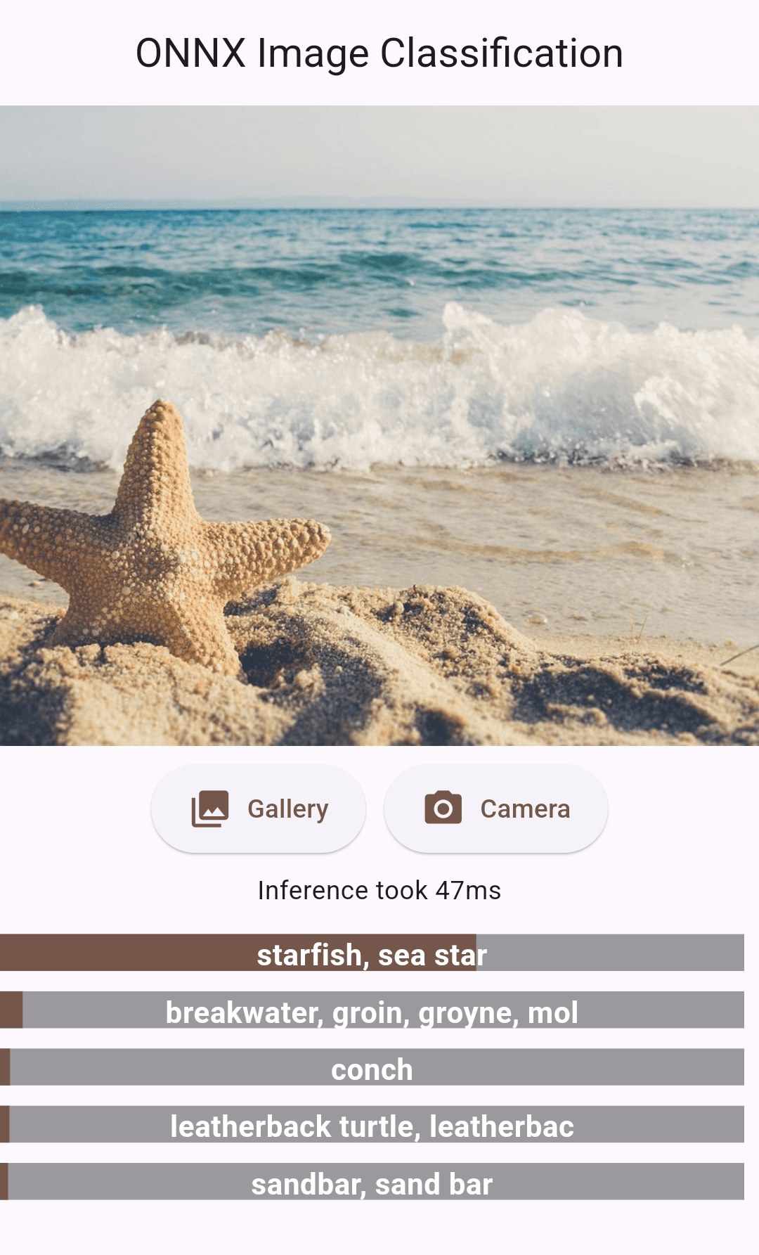 Flutter ONNX Image Classification