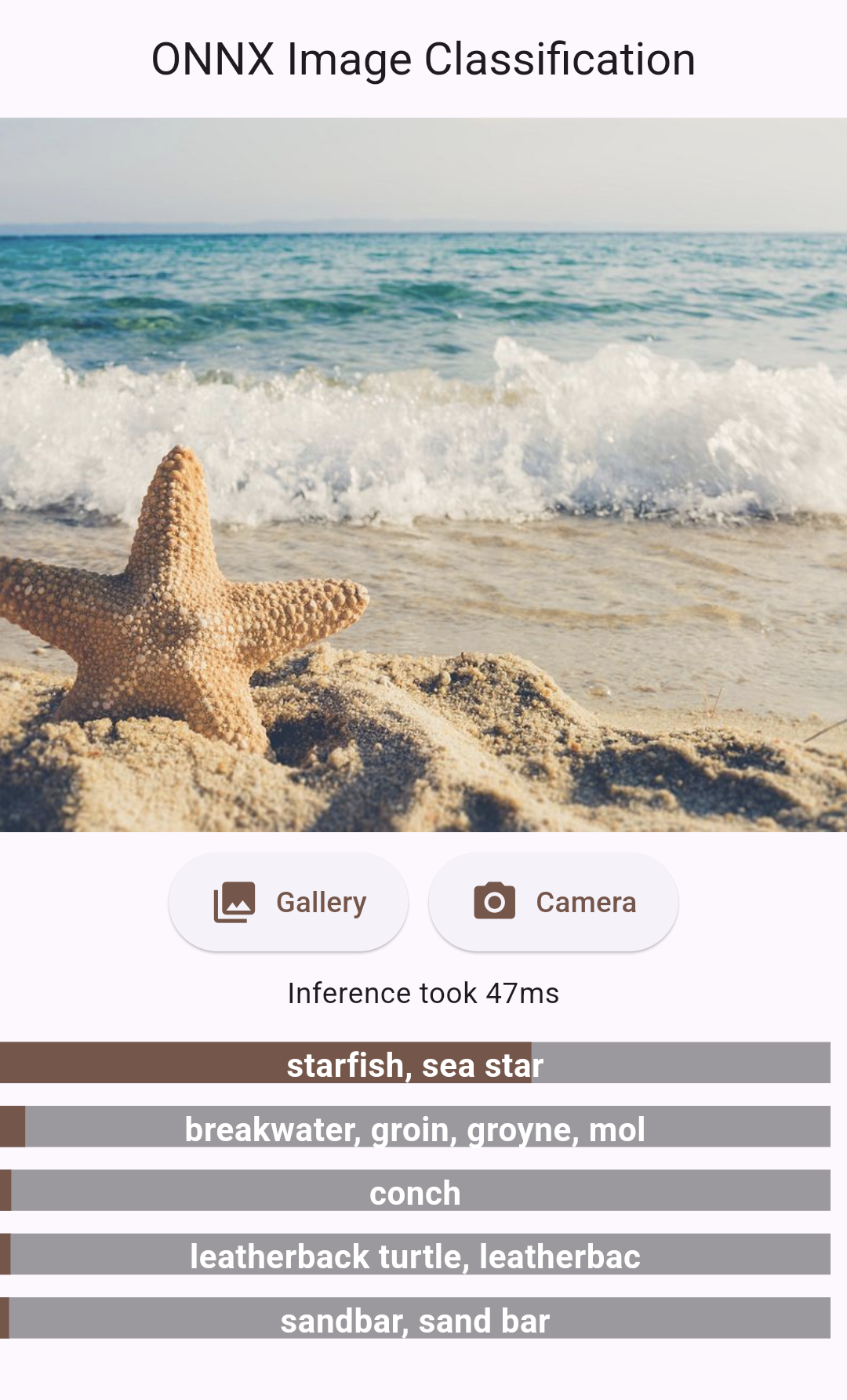 Flutter ONNX Image Classification project preview
